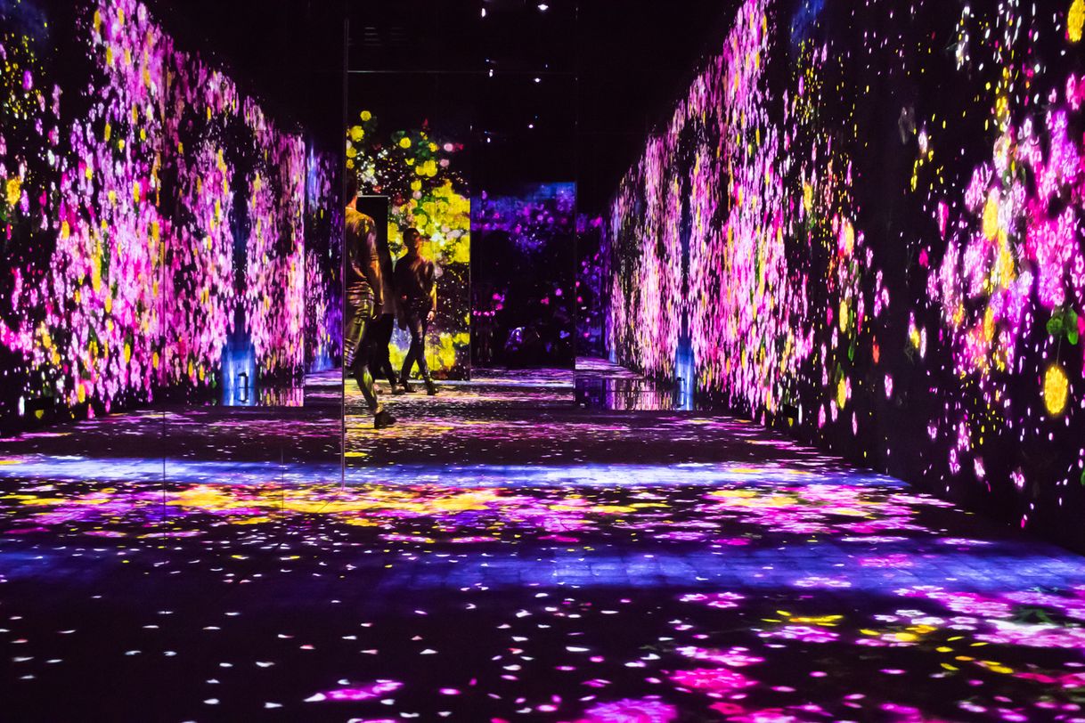 Place teamLab Borderless Tokyo: MORI Building DIGITAL ART MUSEUM