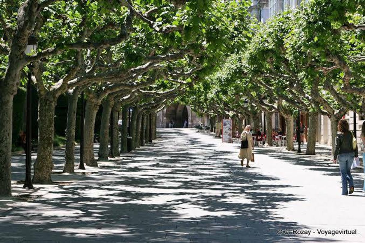 Place Paseo Espolón