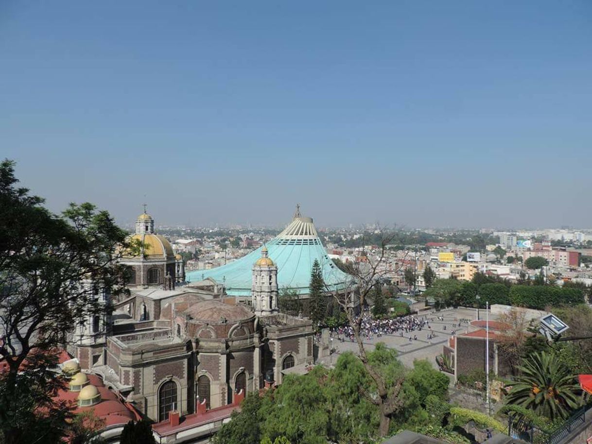 Lugar Basílica de Guadalupe