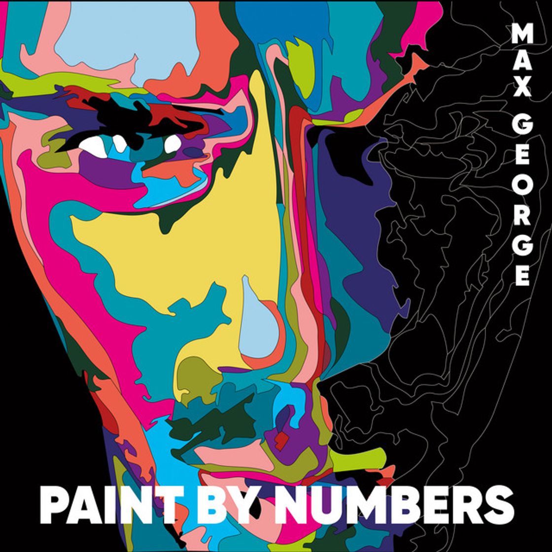 Canción Paint by Numbers