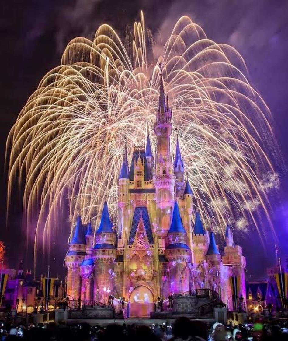 Place Disney world welcome sign