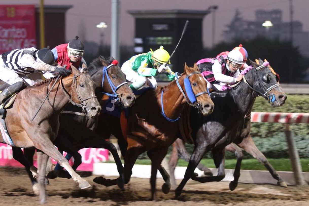 Moda HIPODROMO CHILE🏇