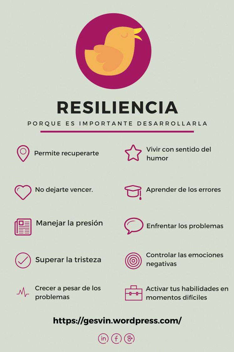 Fashion Resiliencia 