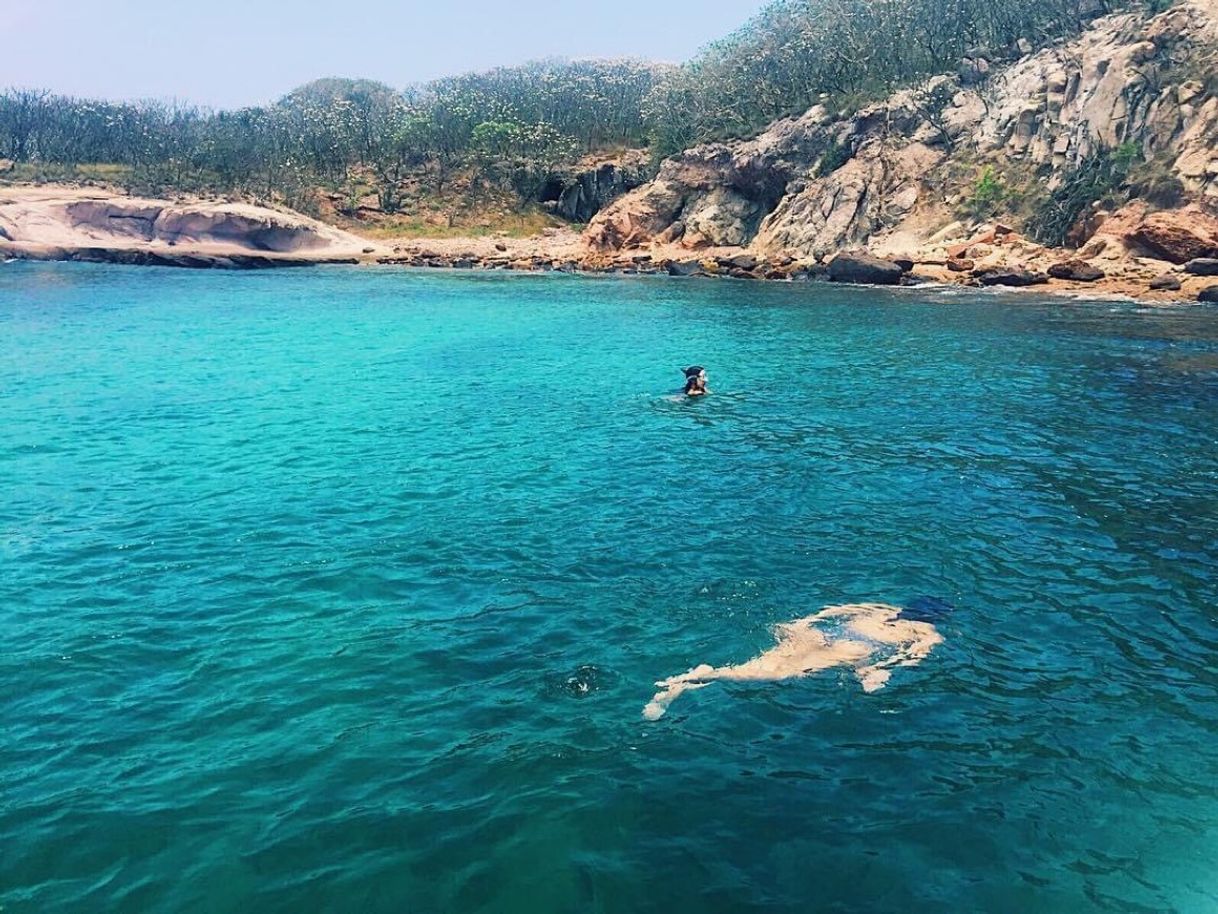 Place Isla de Pájaros