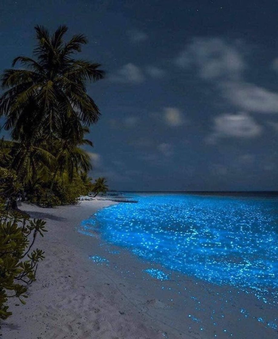 Place Isla de Holbox