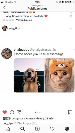 Cómo hacer feliz a tu mascota❤️