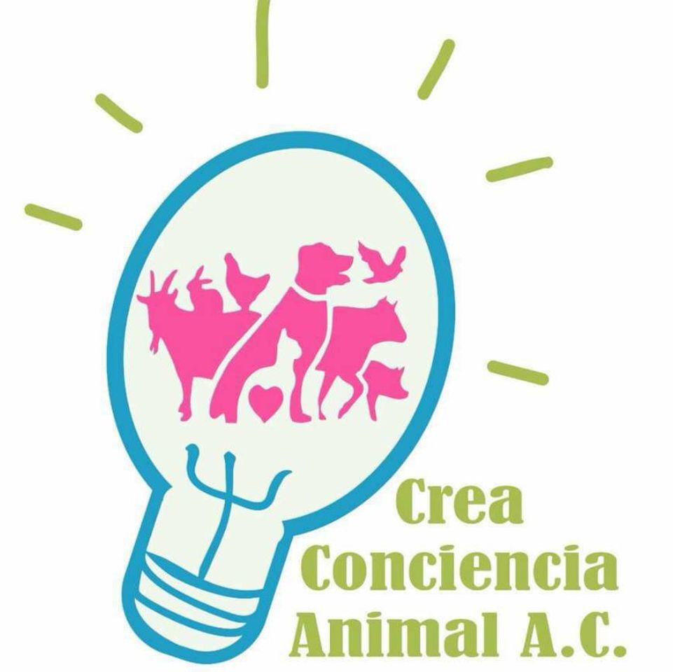 Moda Crea conciencia animal a.c