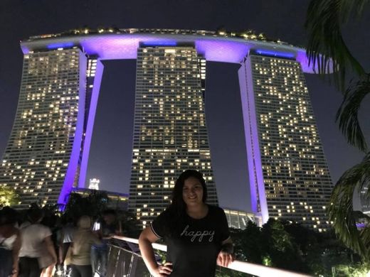 Marina Bay Sands Singapore