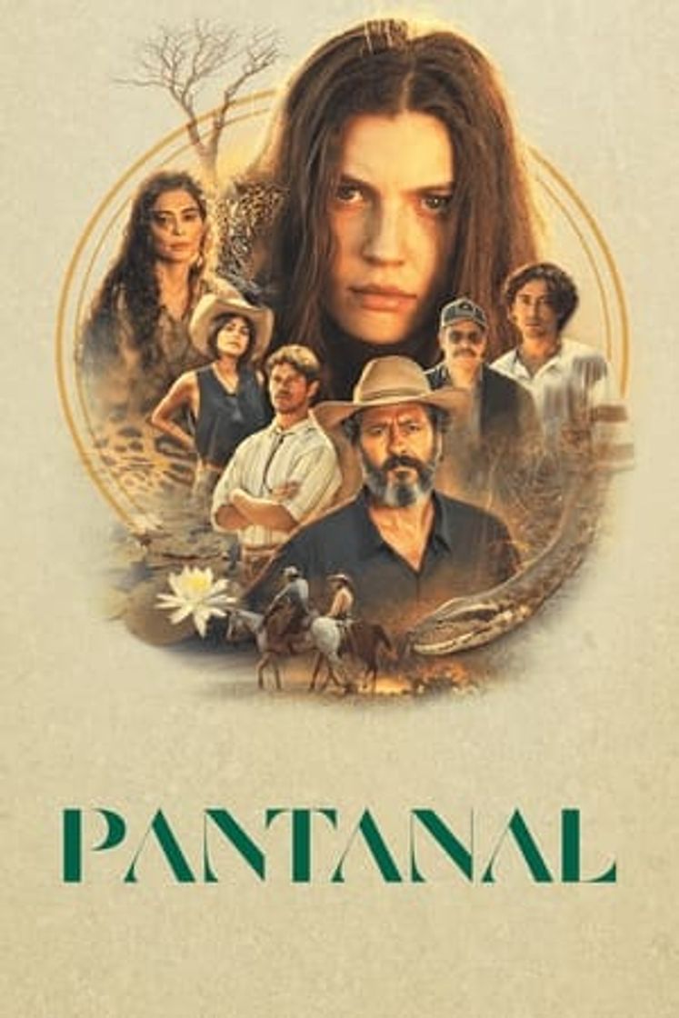 Serie Pantanal