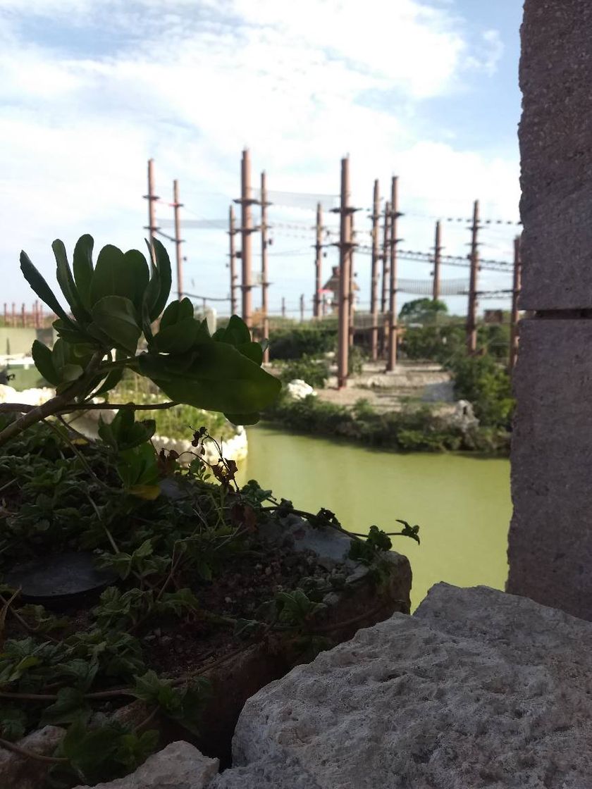 Place Xavage by Xcaret