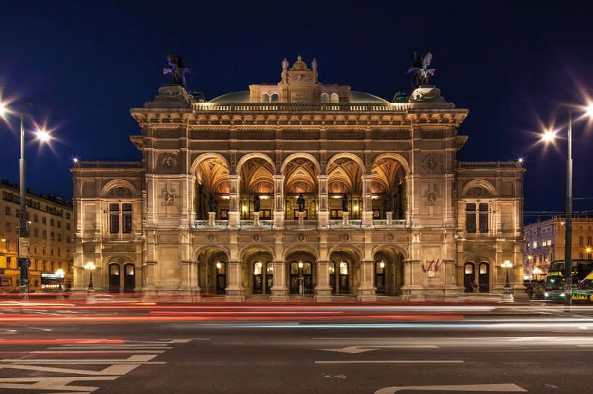 Place Vienna Operahouse