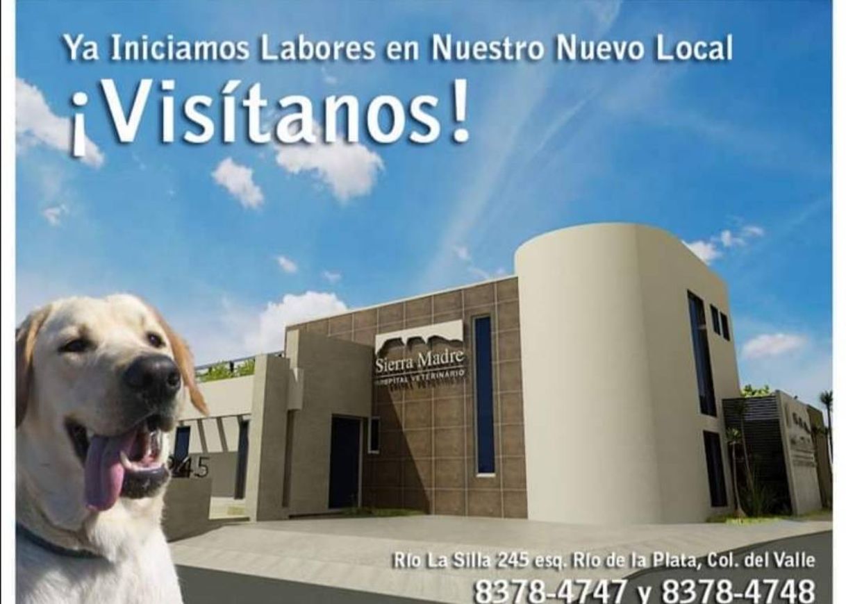 Fashion Sierra madre hospital veterinario