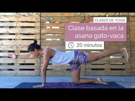 Clase de Yoga para principiantes con gato-vaca - YouTube