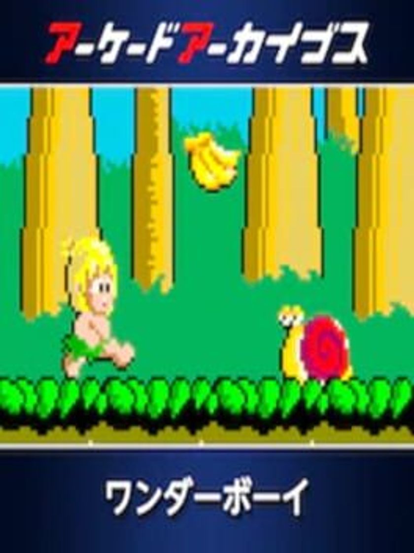 Videojuegos Arcade Archives WONDER BOY