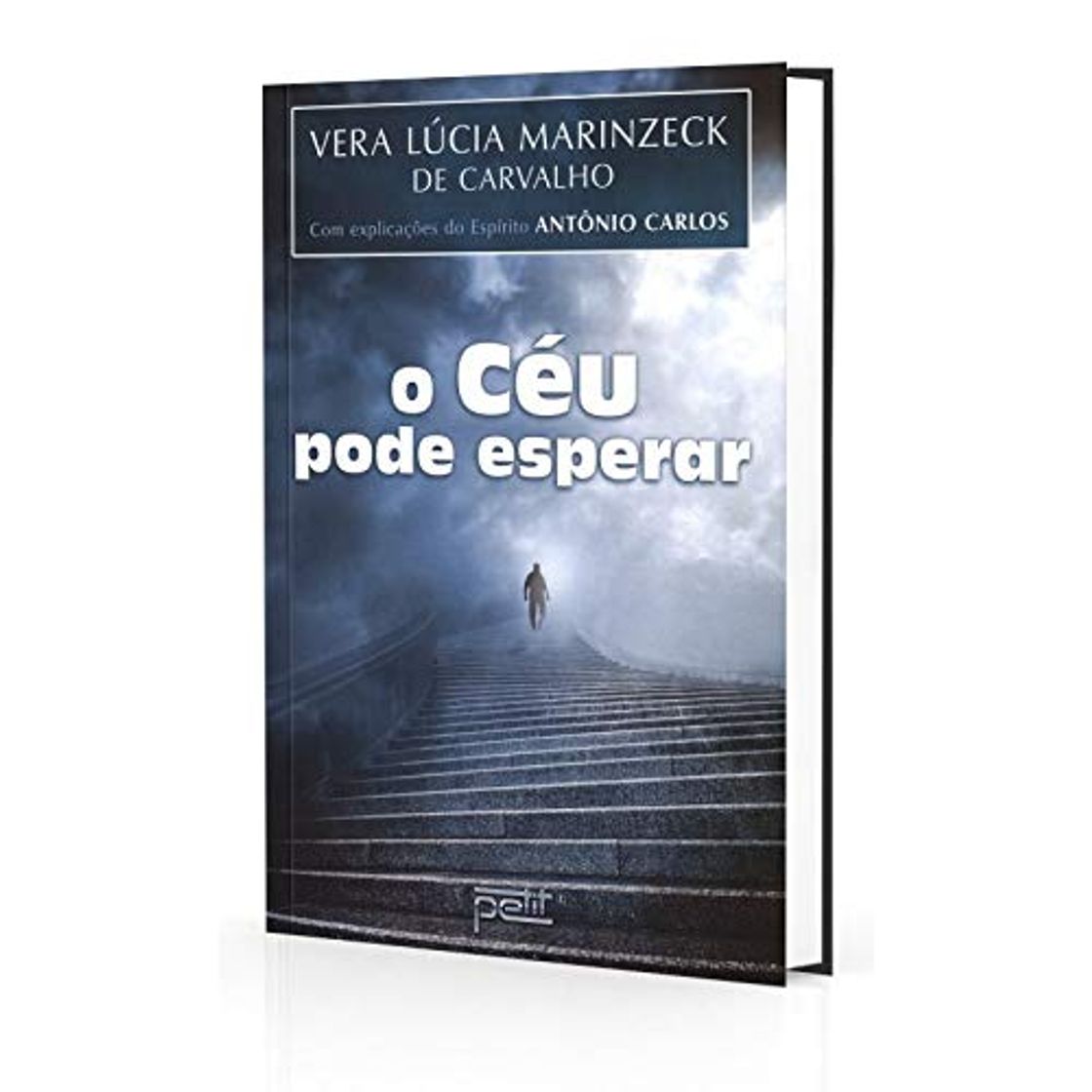 Book O Céu Pode Esperar