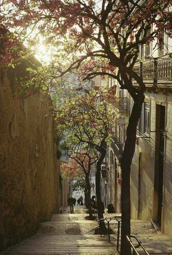  Ruas de Lisboa-Portugal🇵🇹