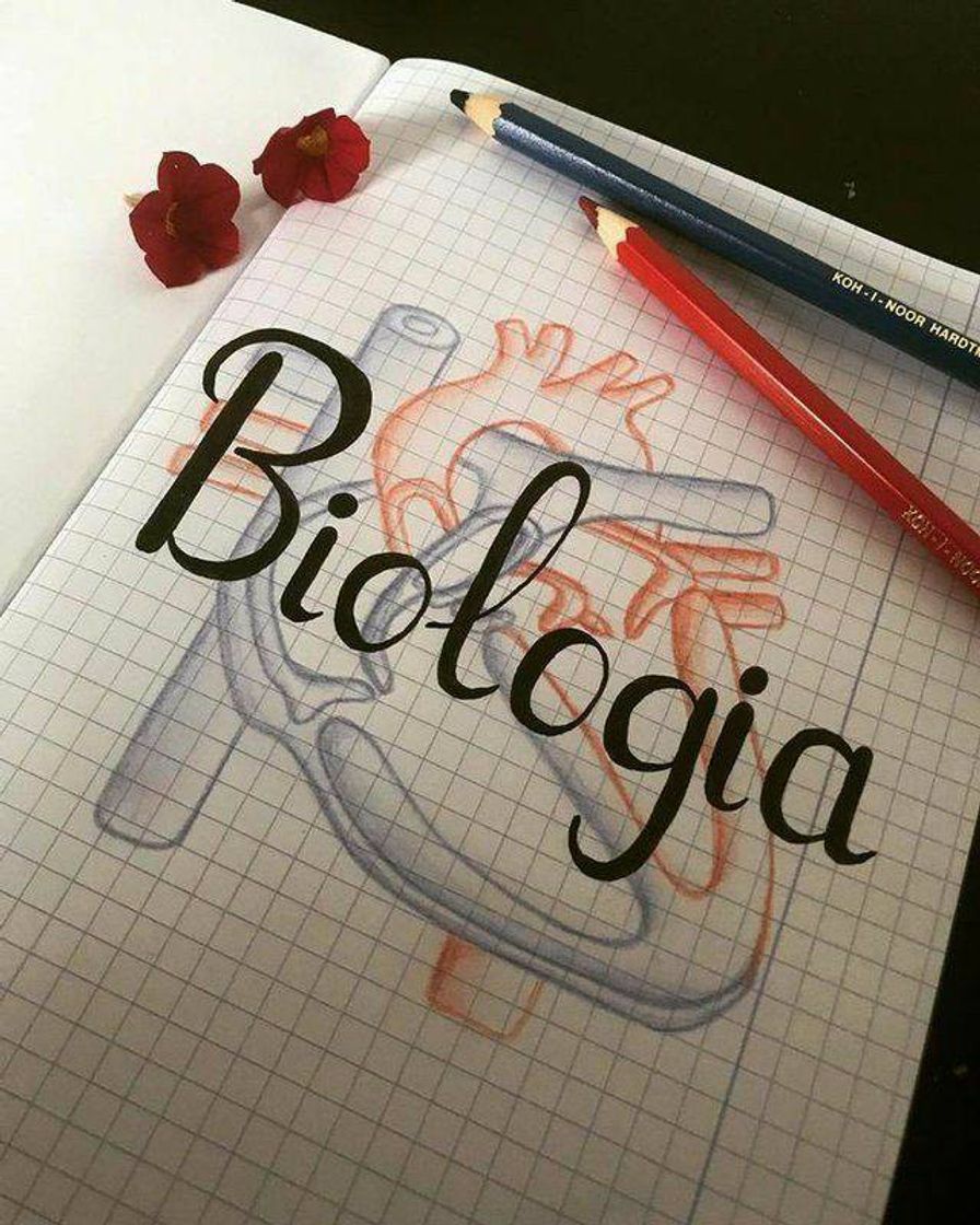 Fashion Capa biologia💊🩸