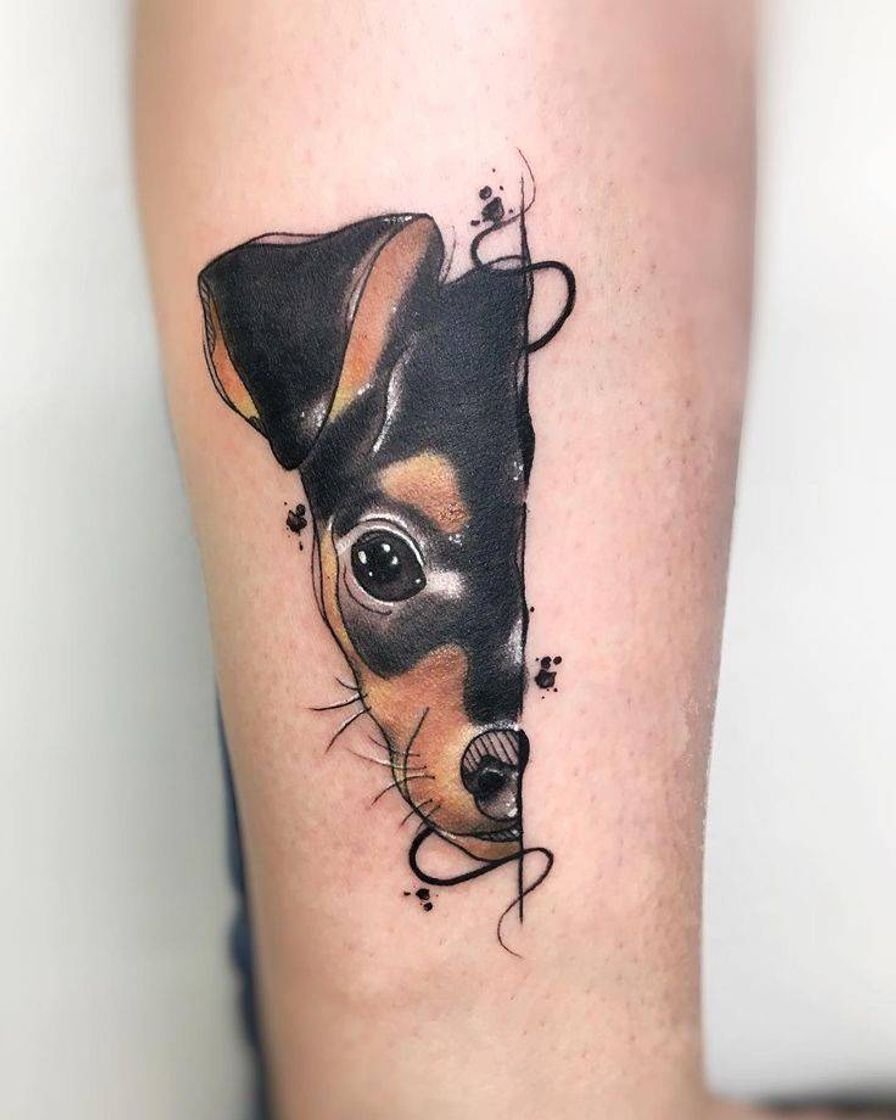 Moda Homenagem Para Seu Cachorro🐶