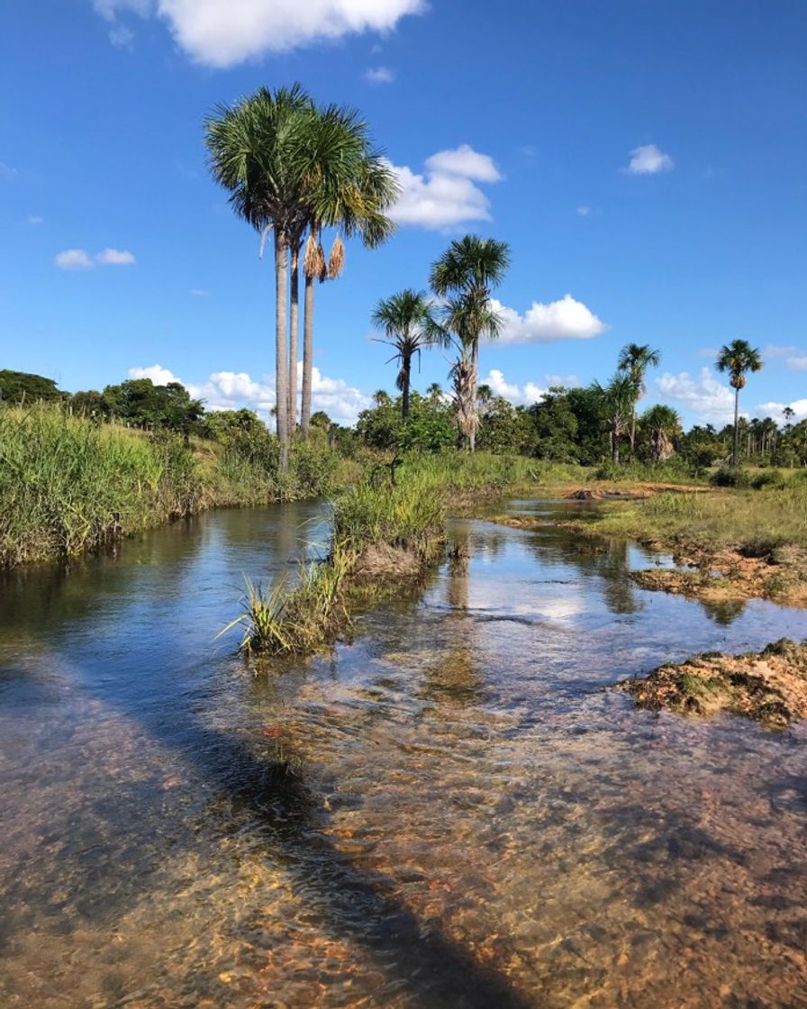 Lugar Roraima