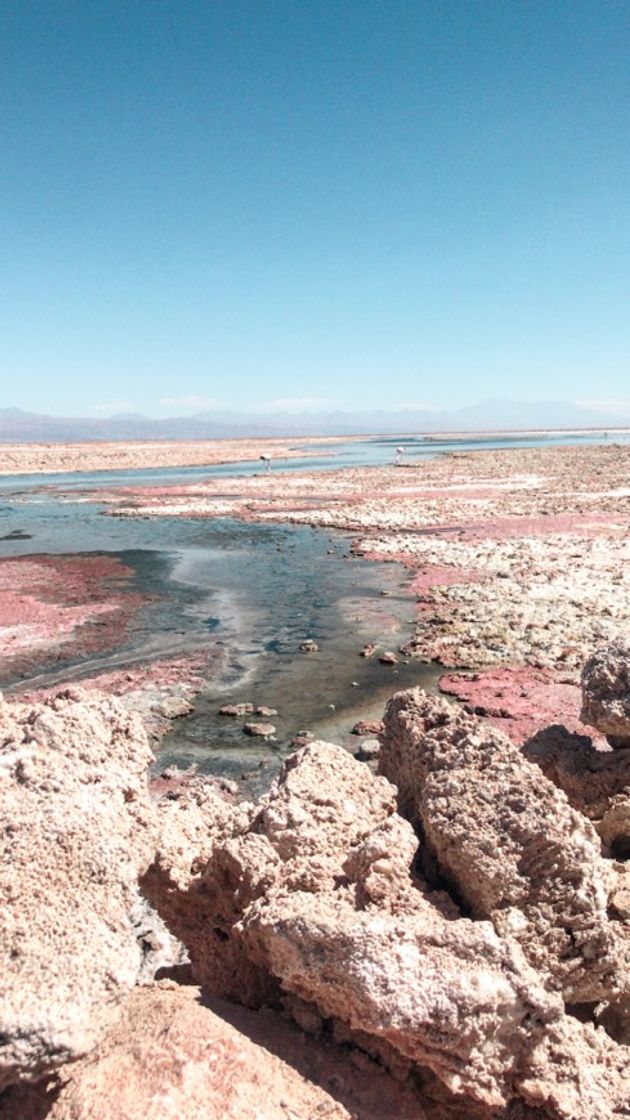 Lugar Salar de Atacama