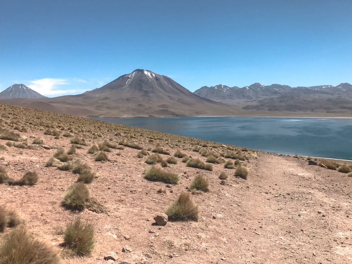 Lugar Lagunas Altiplánicas