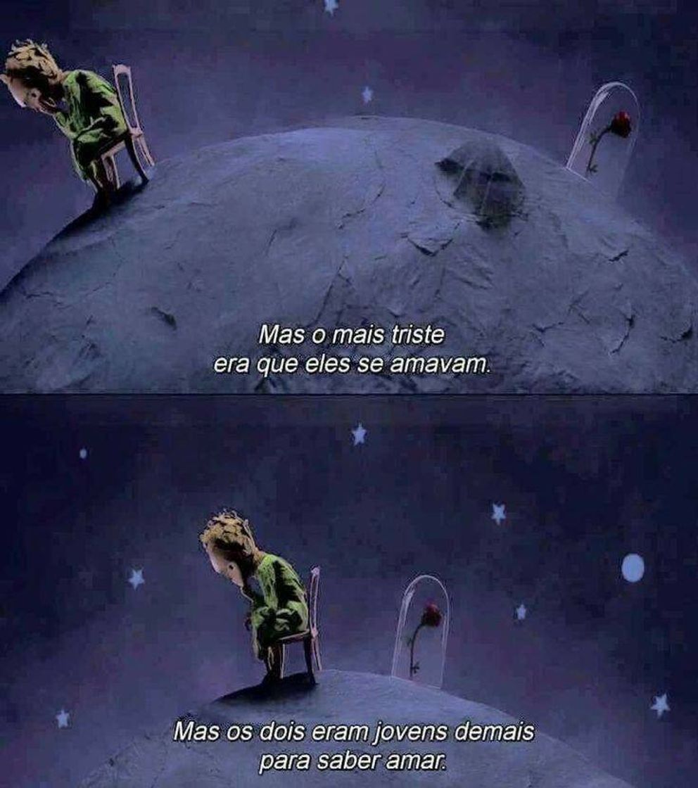 Social O pequeno príncipe