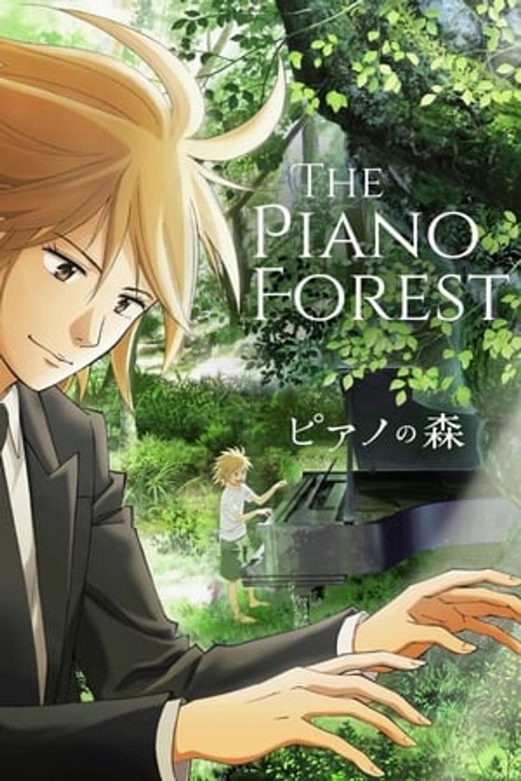 Serie El bosque del piano