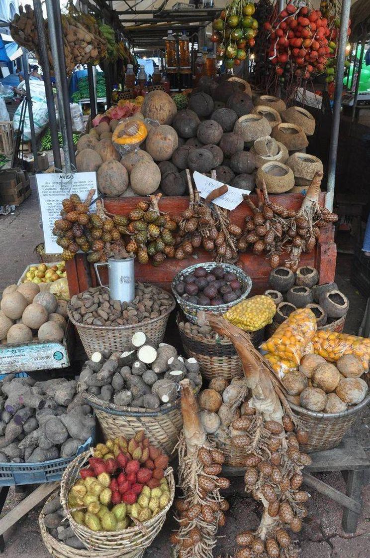 Moda Deliciosas comidas