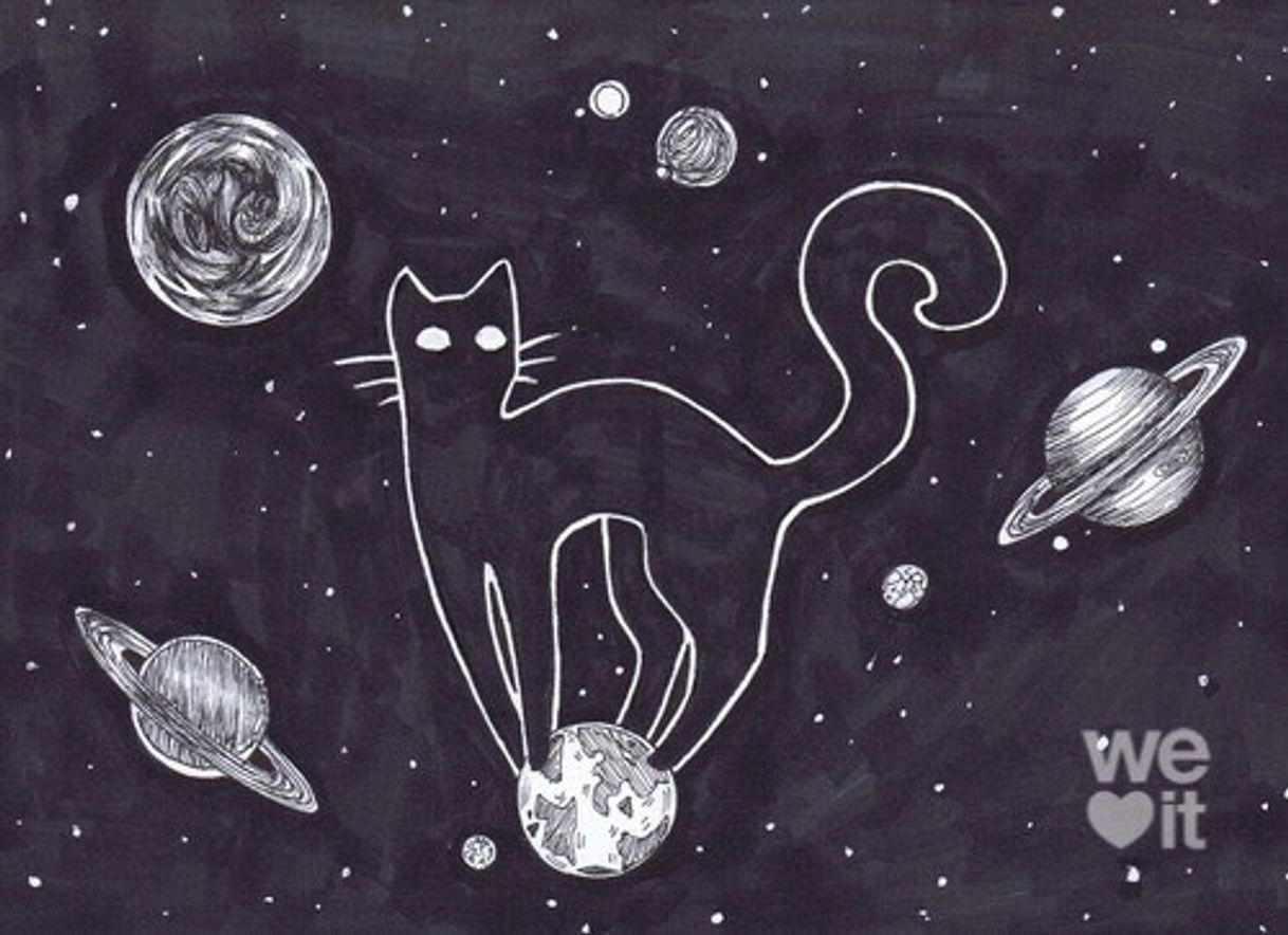 who run the world? cats!