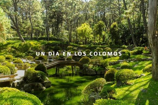 Bosque Los Colomos