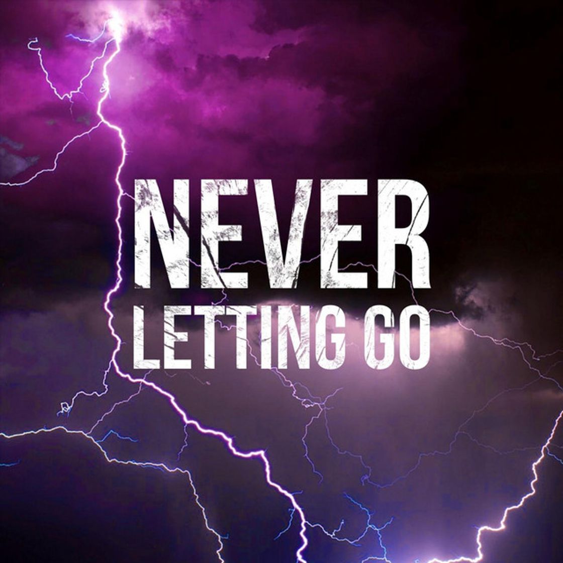 Canción Never Letting Go