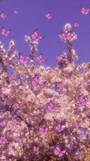 Wallpaper borboletas 