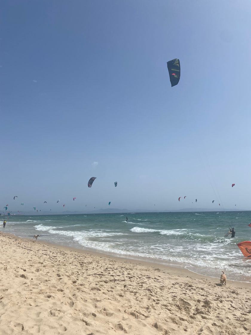 Place Playa De Los Lances