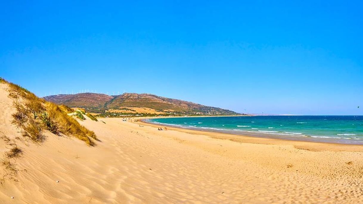 Lugar Playa Punta Paloma