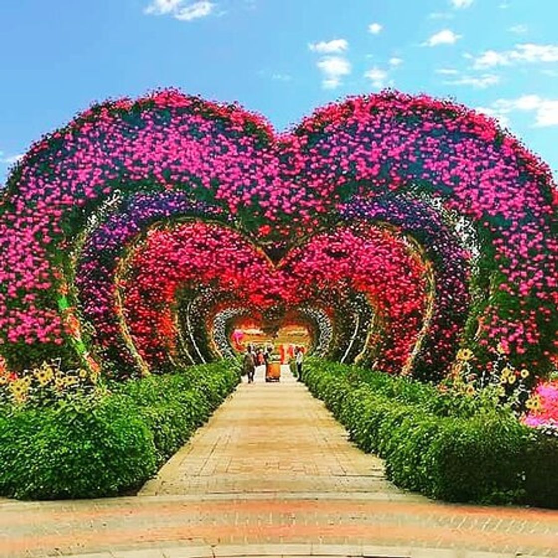 Place Miracle Garden