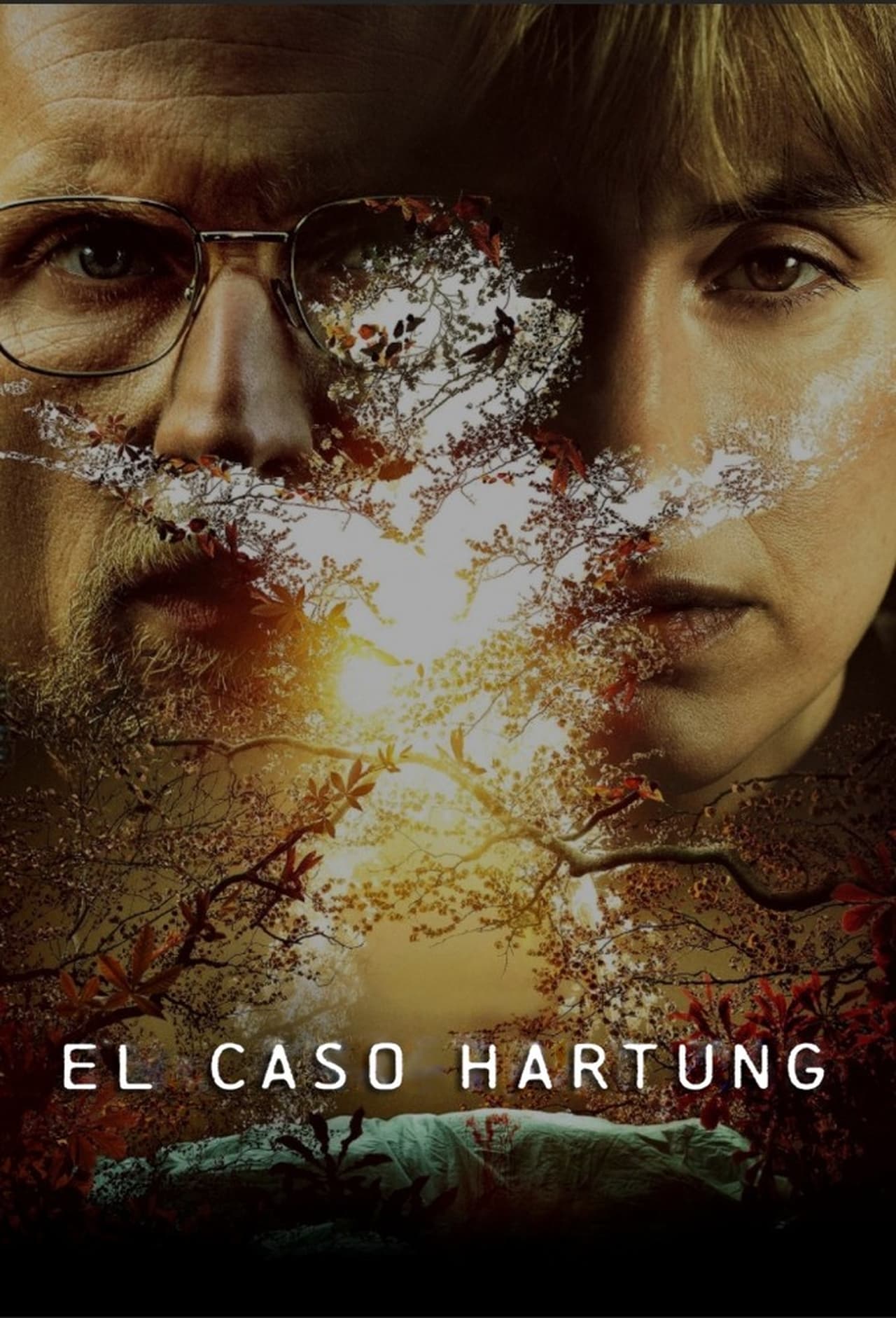 Serie El caso Hartung