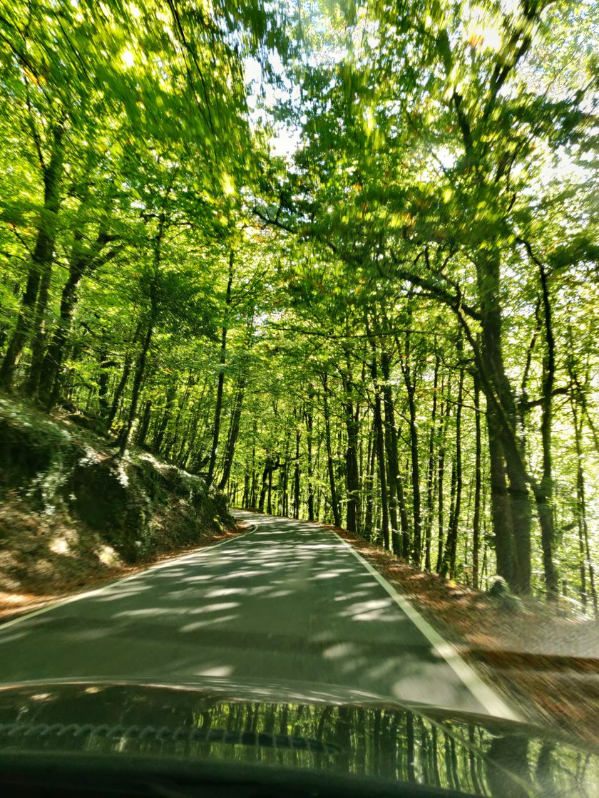 Lugar Mata da Albergaria (Gerês)