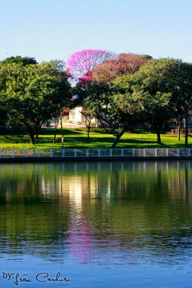 Place Parque Alfredo Werner Nyffeler