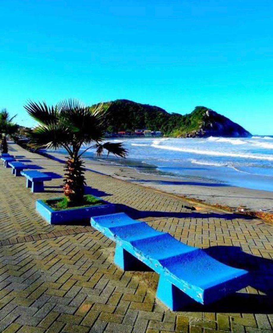 Lugar São Francisco do Sul