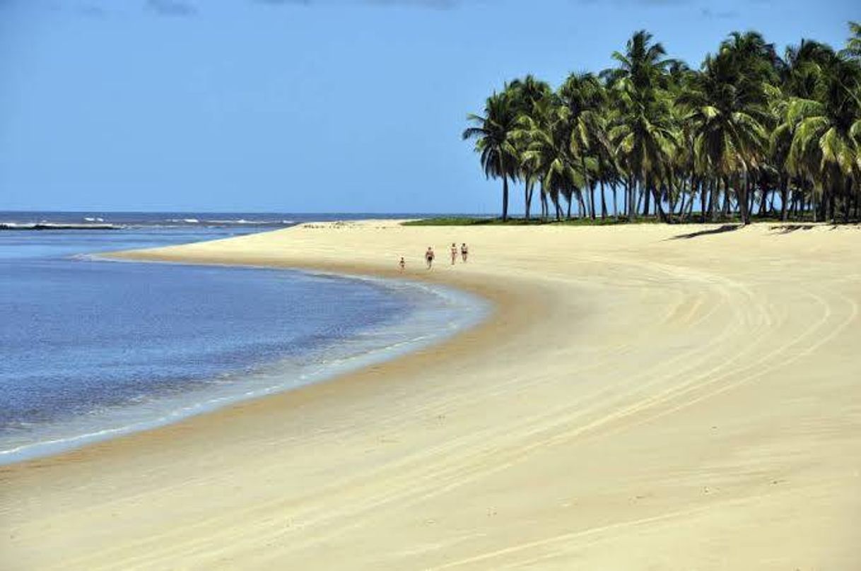 Lugar Praia do Gunga