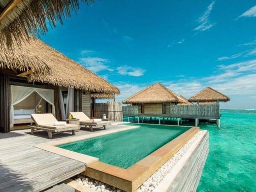 ilha Maldivas 🌊