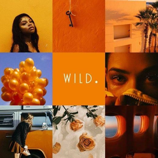 moodboard 🍊