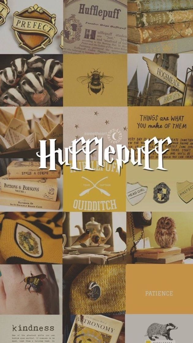 Fashion Hufflepuff 