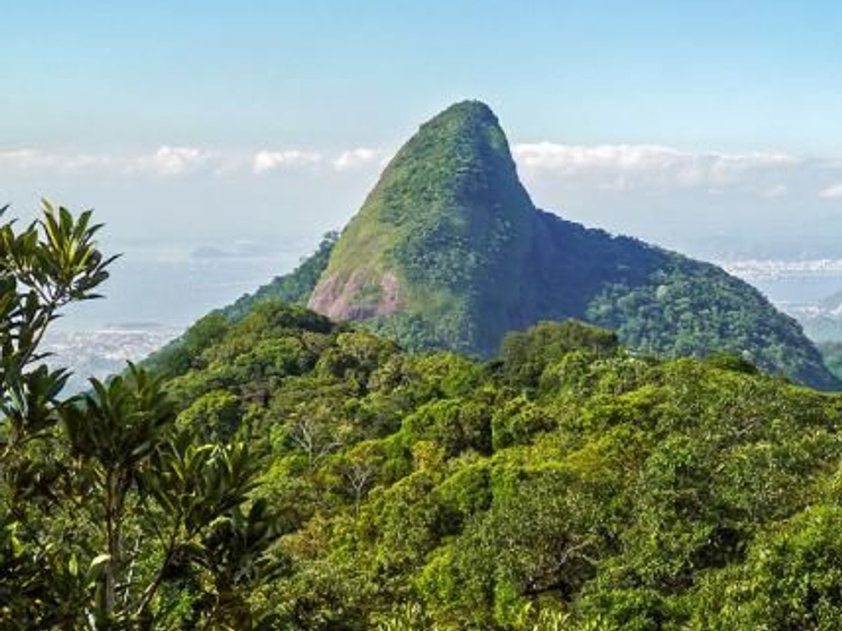 Places Pico da Tijuca