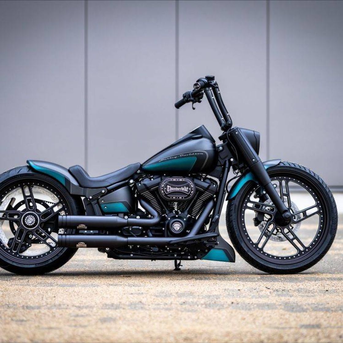 Moda 🖤Harley Davidson