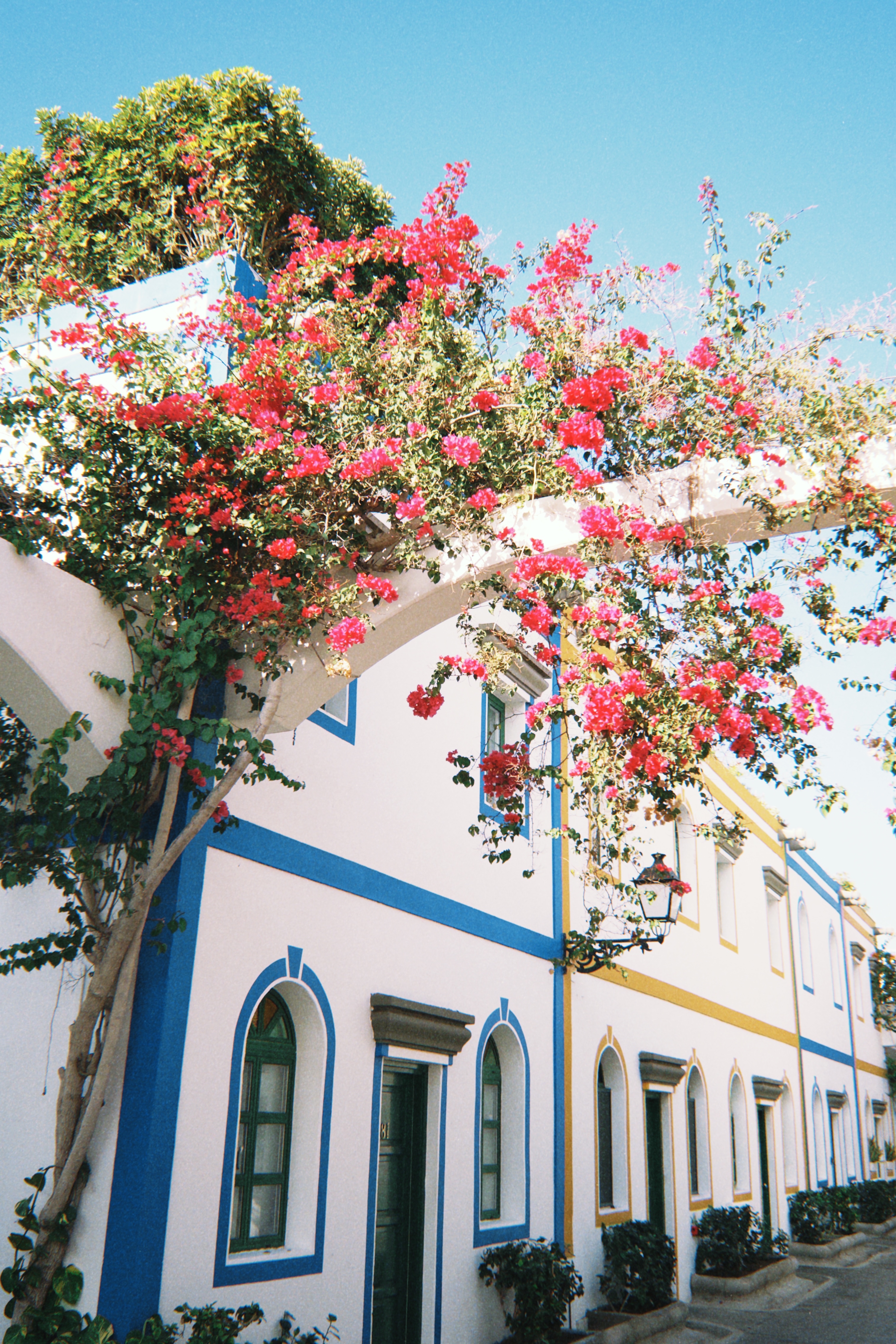 Puerto de Mogán 