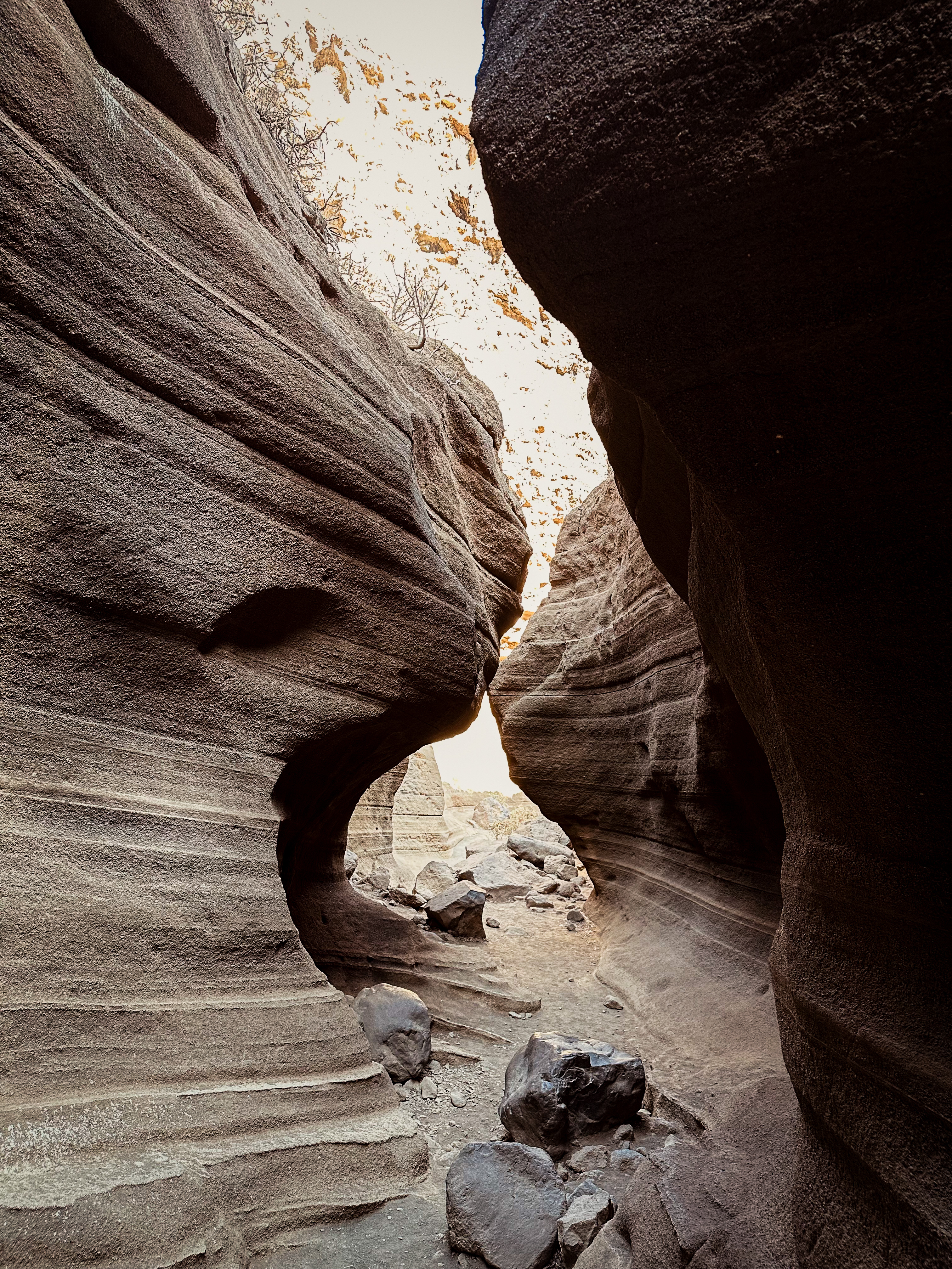 Barranco de las Vacas 