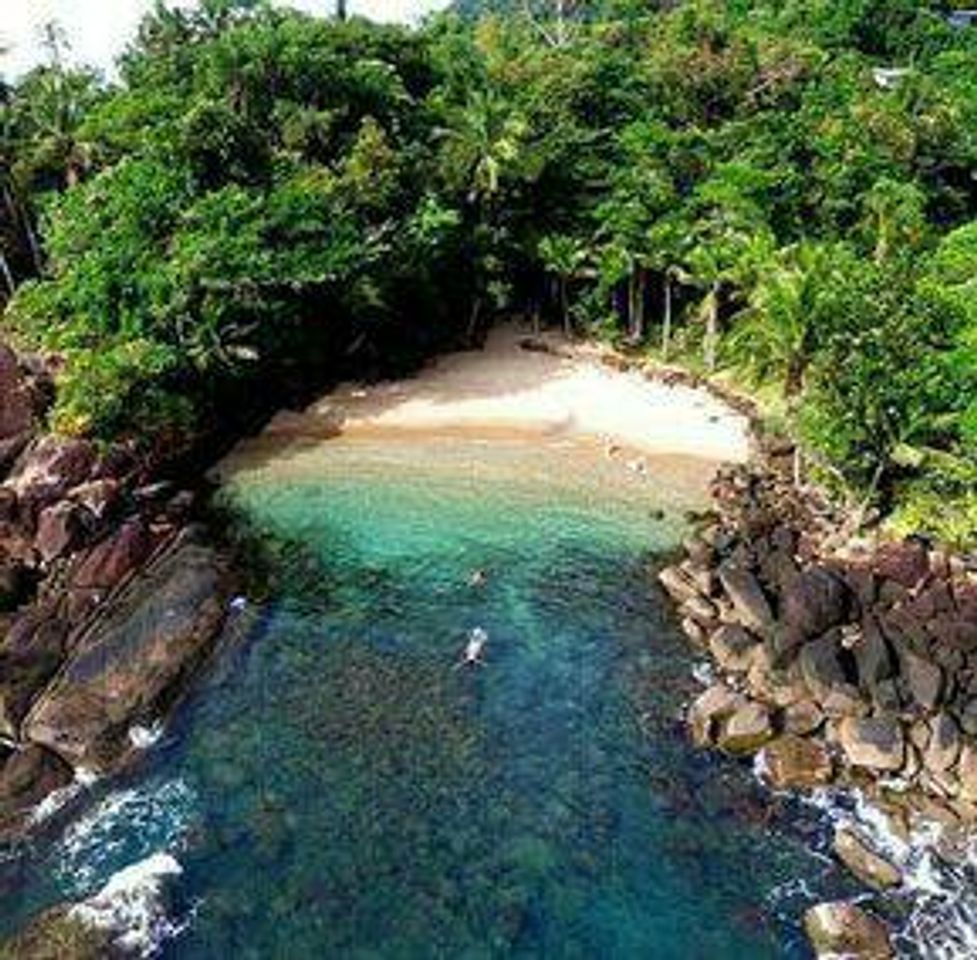 Place PRAIA DE UBATUBA