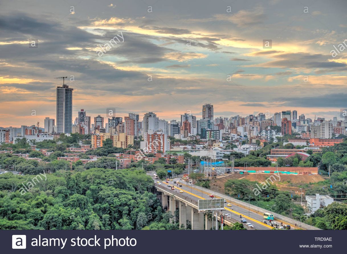 Lugar Bucaramanga