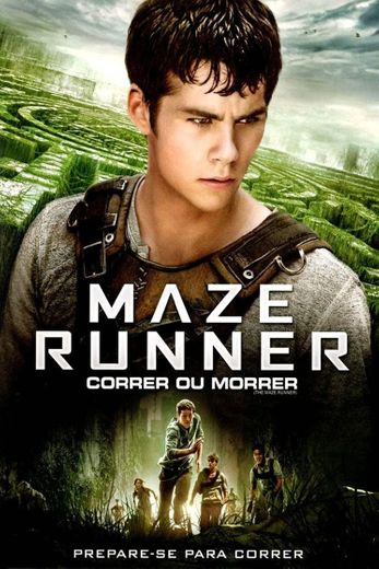 The Maze Runner